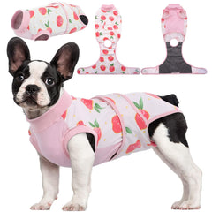 Kuoser Recovery Suit on a dog front view showing cone-free healing and comfort.