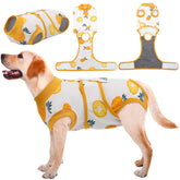 Kuoser Recovery Suit on a dog after surgery provides comfortable wound coverage and protection