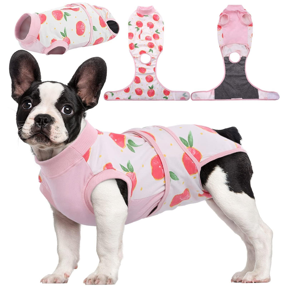 Kuoser Recovery Suit worn by a dog shows comfortable post-surgery protection with breathable fabric