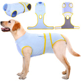 Kuoser Recovery Suit on a dog wearing for comfort and lick prevention.