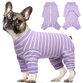 Kuoser recovery suit for small dogs back view protects incision and promotes calm post-surgery care