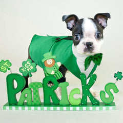 Kuoser St. Patrick's Day tuxedo back view highlighting two-piece versatility.