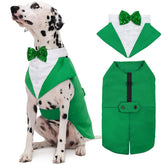 Kuoser St. Patrick's Day tuxedo set on dog for festive wedding look.