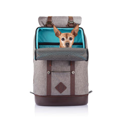 Kurgo dog carrier backpack assembly demonstrates versatile travel setup for small pets