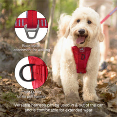 Kurgo Tru-Fit chest pad closeup highlighting padded chest for comfort during walks