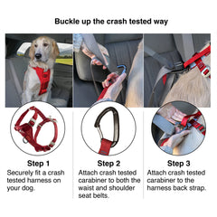 Kurgo Enhanced Strength Tru-Fit seatbelt tether demonstrates easy car-seat integration for safer travels.