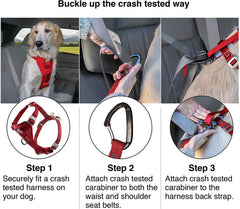 Kurgo Enhanced Strength seatbelt tether shows quick, secure car attachment for safer rides.