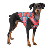 Kurgo Loft Dog Jacket Lava Lamp reversible coat enhances versatile styling and warmth.