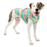 Kurgo Loft Dog Jacket reversible design offers two color options for versatile outdoor style.