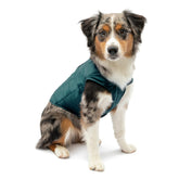 Kurgo Loft Dog Jacket water-resistant shell keeps dogs dry on damp walks