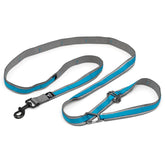 Kurgo Quantum leash in 6-foot form for hands-free daily walks.