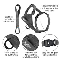 Kurgo Tru-Fit chest plate padding provides comfortable support on walks.