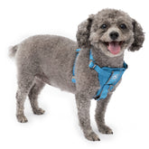 Kurgo Tru-Fit Smart Harness blue small front clip for better control during walks