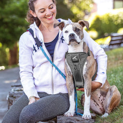 Kurgo Tru-Fit front leash attachment supports no-pull training.