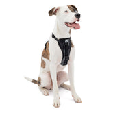 Kurgo Tru-Fit harness front view showing quick-release setup for fast, hassle-free outings