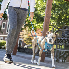 Kurgo Tru-Fit Smart Harness blue small padded chest for comfortable pressure distribution