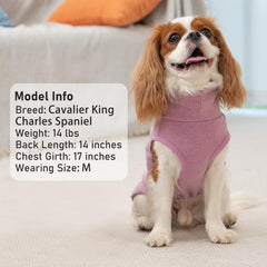 KYEESE dog sweater outdoor wear view demonstrates easy layering under jackets
