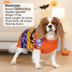 KYEESE turtleneck keeps large dogs warmer on chilly fall days
