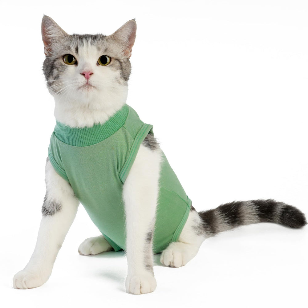 kzrfojy bodysuit recuperación para gatos verde mediana evita lamer la herida.