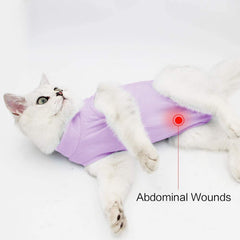 Gato con mono de recuperación: protección de abdomen y confort diario