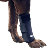 Labra dog front leg brace adjustable straps providing secure, supportive fit.