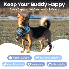 Labra dog hock brace recovery-use image demonstrates safe wrapping for post-injury care.