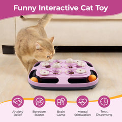 LACCEN cat puzzle toy multi-game setup challenges minds and rewards curiosity