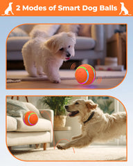 LADFAR interactive rolling dog toy close-up of waterproof TPU shell.