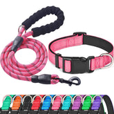 Ladoogo collar para perro con neopreno acolchado para mayor comodidad.