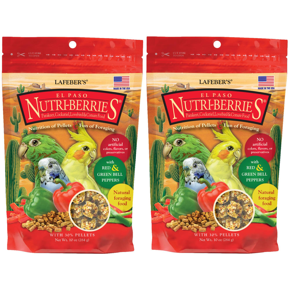 LAFEBER'S El Paso Nutri-Berries in a bowl promote foraging and balanced nutrition for small birds.