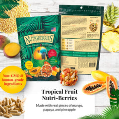 LAFEBER'S Tropical Fruit Nutri-Berries bag close-up with real fruit pieces.