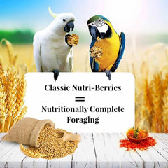 Lafeber's Nutri-Berries foraging shape encourages beak exercise and enrichment.