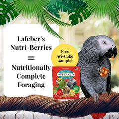 LAFEBER'S Nutri-Berries orchard flavor bag for small parrots' daily feeding