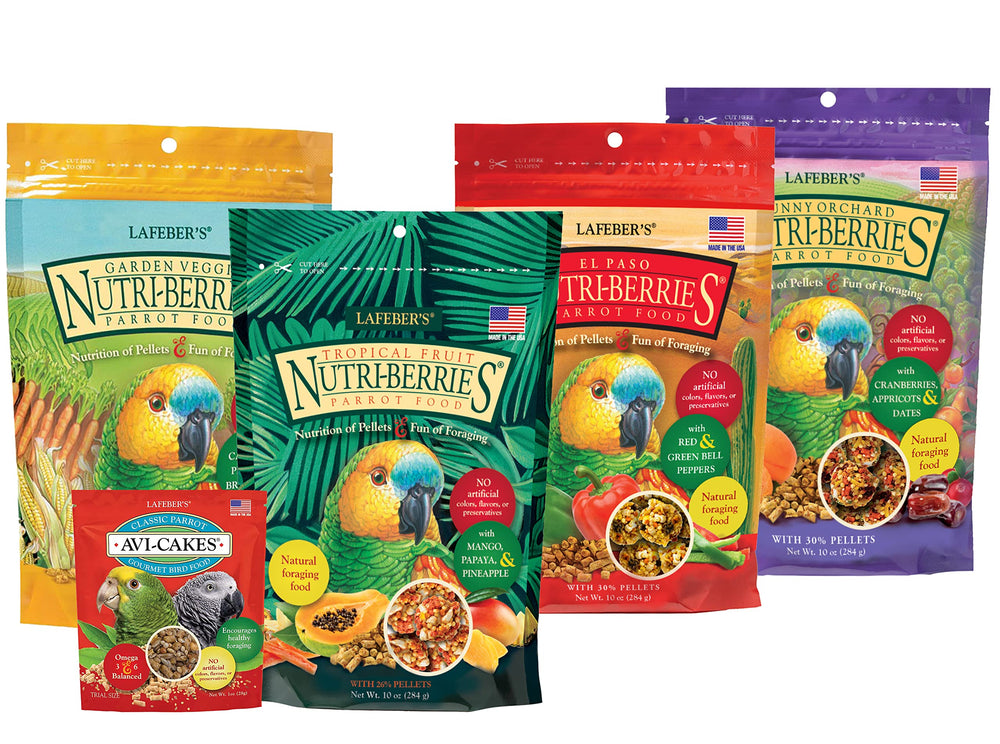 LAFEBER'S Nutri-Berries tropical flavor bag for parrots offering balanced variety
