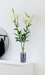 LAIDANLA Amethyst terrarium decor stones add natural color to succulents and glass vessels.