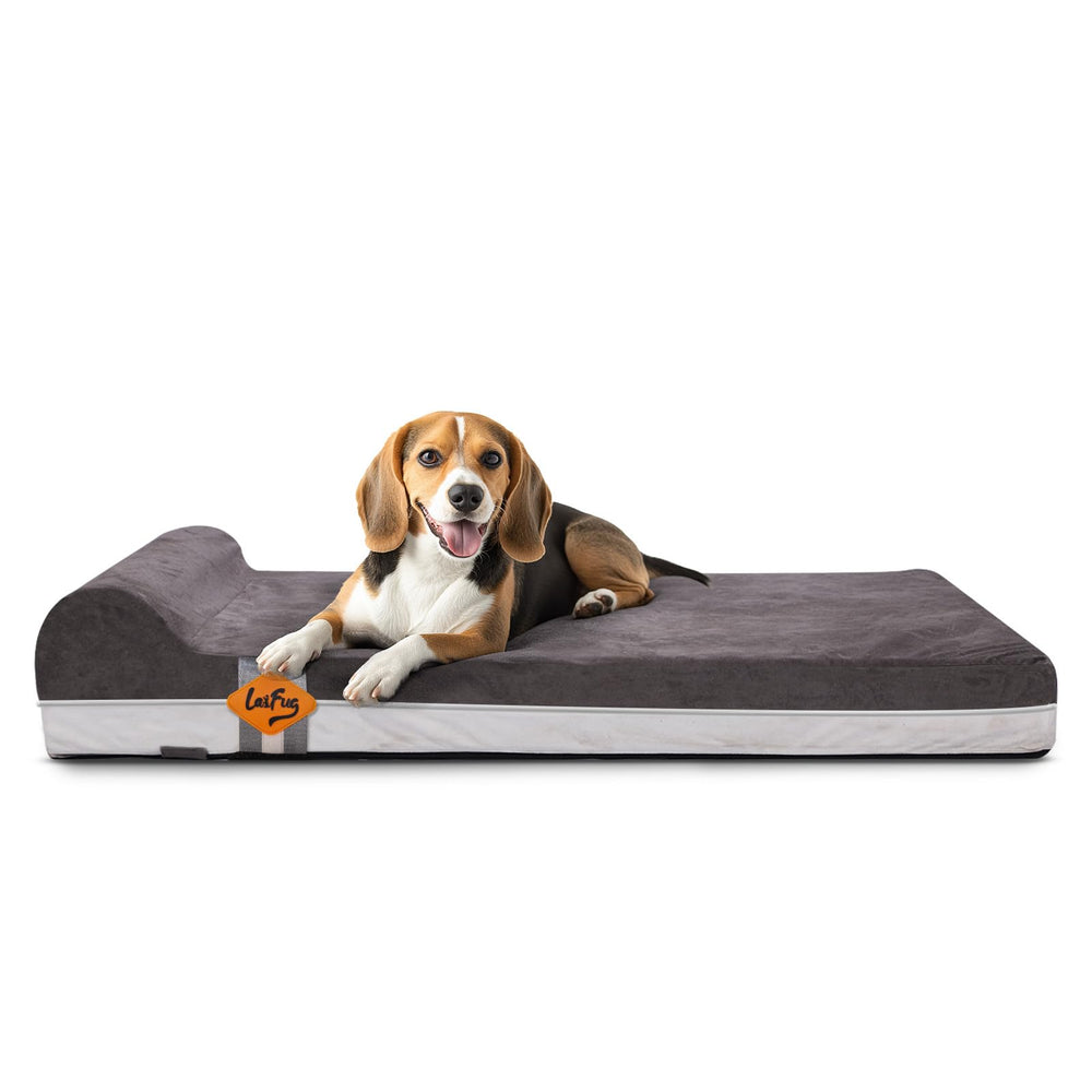 Laifug orthopedic memory foam bed general view highlights joint support