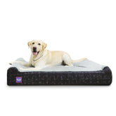 Laifug orthopedic memory foam dog bed top view showing plush surface for comfort.