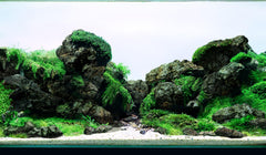 LANDEN lava stone collection close-up highlighting natural textures for aquascaping.