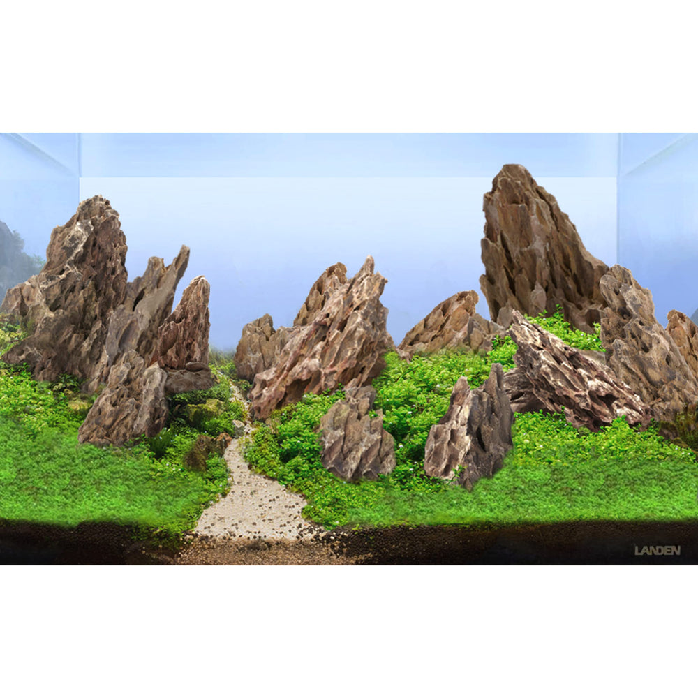 LANDEN dragon stones rough texture ideal for moss anchoring in aquascapes.