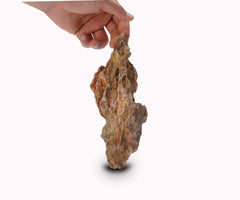 LANDEN dragon stones create caves and cliffs for reptiles and shrimp.