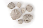 LANDEN Elephant Skin Stone texture close-up highlights natural ridges for authentic aquarium décor