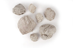 LANDEN Elephant Skin Stone texture close-up highlights natural ridges for authentic aquarium décor