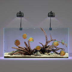LANDEN Kueiyang Hornwood natural branch for aquarium 12-16in creates layered island-style decor