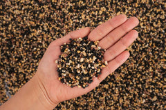 LANDEN Pangea sand bottom setup demonstrates versatile layers for a striking tank floor.