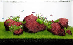 LANDEN Red Lava Stones aquarium layout with rugged texture for dramatic contrast.