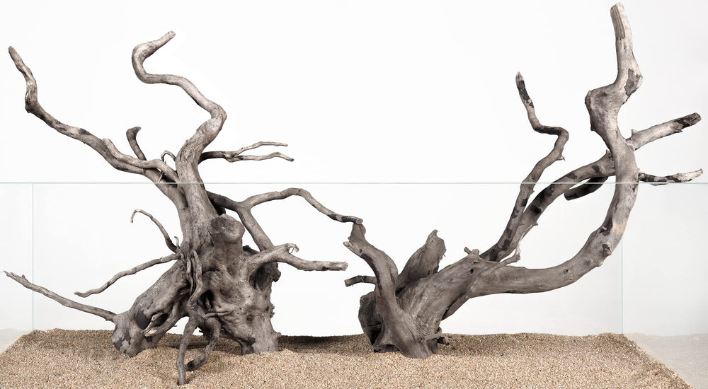LANDEN Spider Wood driftwood branch in aquarium adds natural texture and shelter.
