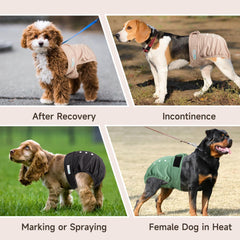 Langsprit lightweight washable diaper in use on a pet during travel.