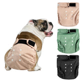 Langsprit Frenchie female diapers front view show secure fit for no tail hole.