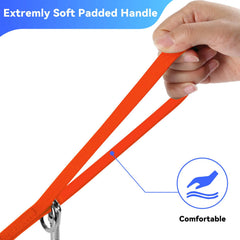 Lanwandeng 16ft long dog leash training use for controlled outdoor sessions.