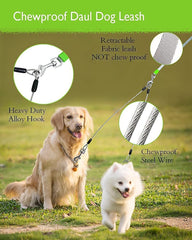 Lanwandeng 360-degree-tangle-free rotation leash in action for easy direction changes